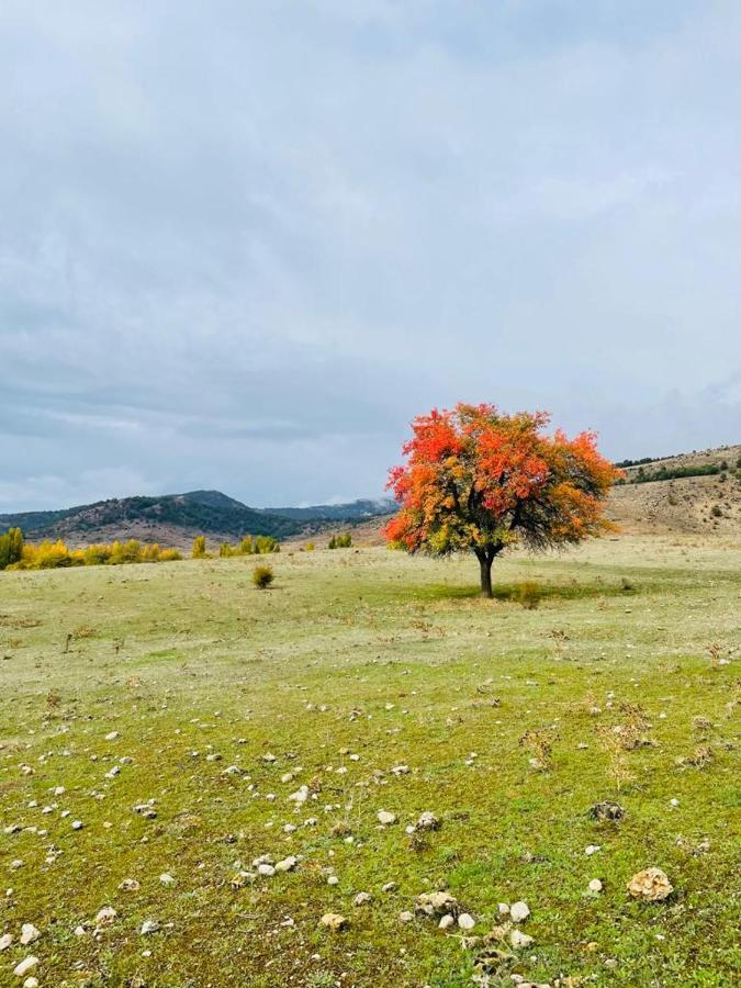 Alojamiento Rural Los Gancheros Tragacete Exterior photo
